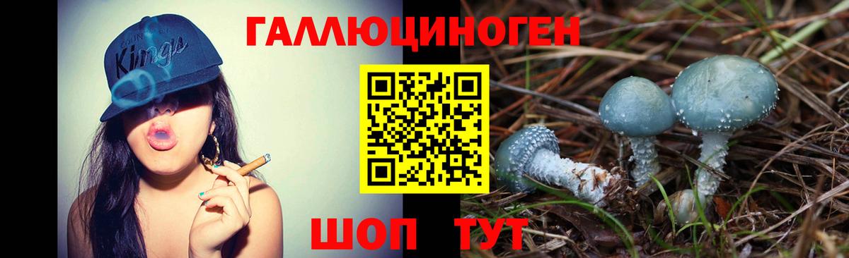 Галлюциногенные грибы ЛСД Геленджик